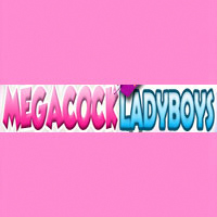 Mega Cock Ladyboys